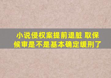 小说侵权案提前退脏 取保候审是不是基本确定缓刑了